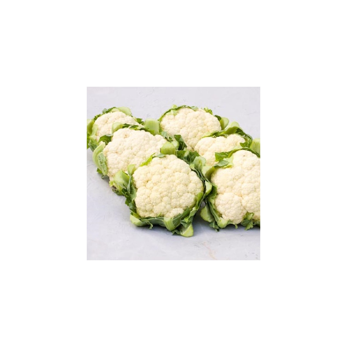 BIO Karfiol Amabile KS - Brassica oleracea - bio semená - 20 ks