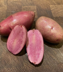 Sadbové zemiaky Heiderot - Solanum tuberosum - zemiaky - 5 ks