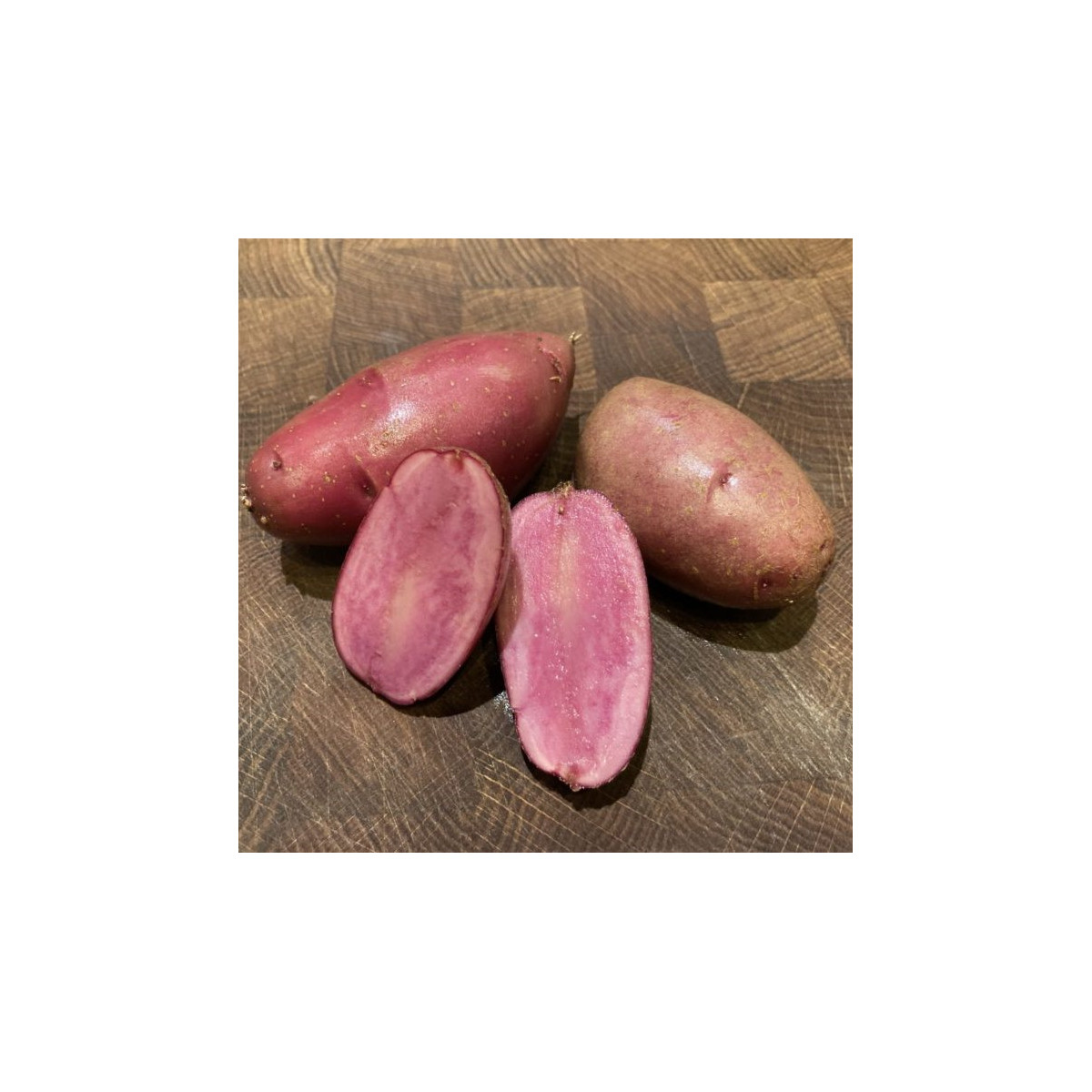 Sadbové zemiaky Heiderot - Solanum tuberosum - zemiaky - 5 ks