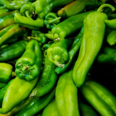 Chilli Anaheim - Capsicum annuum - semená - 6 ks