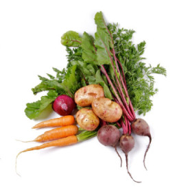 Koreňová zelenina