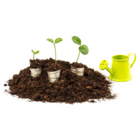 Hnojivá, stimulátory