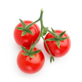 Kríčkové paradajky