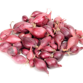 Sadbová cibuľa - semená