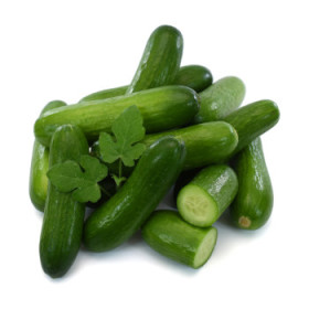 Uhorky šalátové