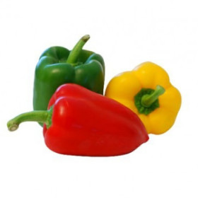 Papriky sladké