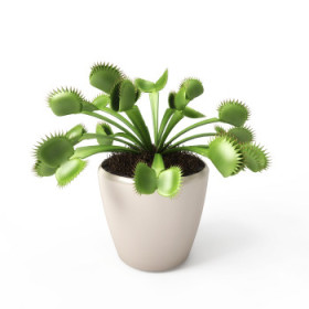 Mäsožravé rastliny