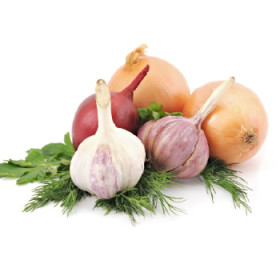 BIO cibuľová zelenina