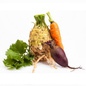 BIO koreňová zelenina