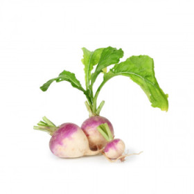 BIO ostatná koreňová zelenina