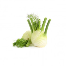 BIO fenikel