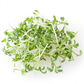 BIO ostatná listová zelenina