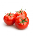 BIO paradajky