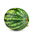 BIO melón