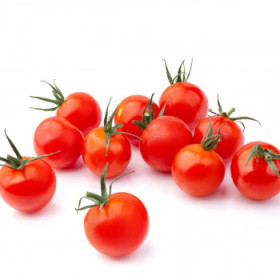Mini odrody paradajky