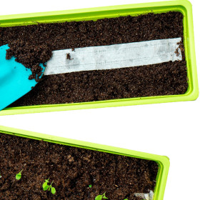 Výsevné pásky kvetín