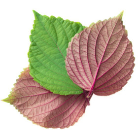 BIO ázijská zelenina