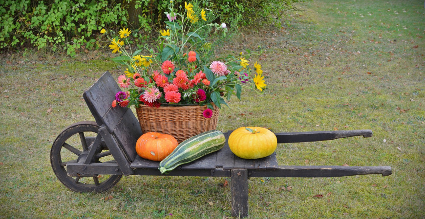 August v záhrade - zadradnická sezóna ešte nekončí!