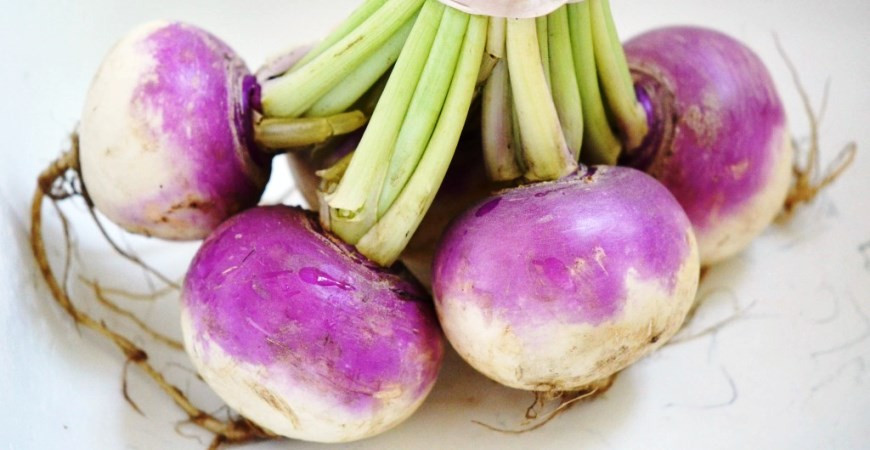 Reďkev a okrúhlica