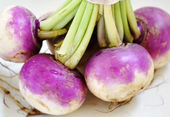 Reďkev a okrúhlica