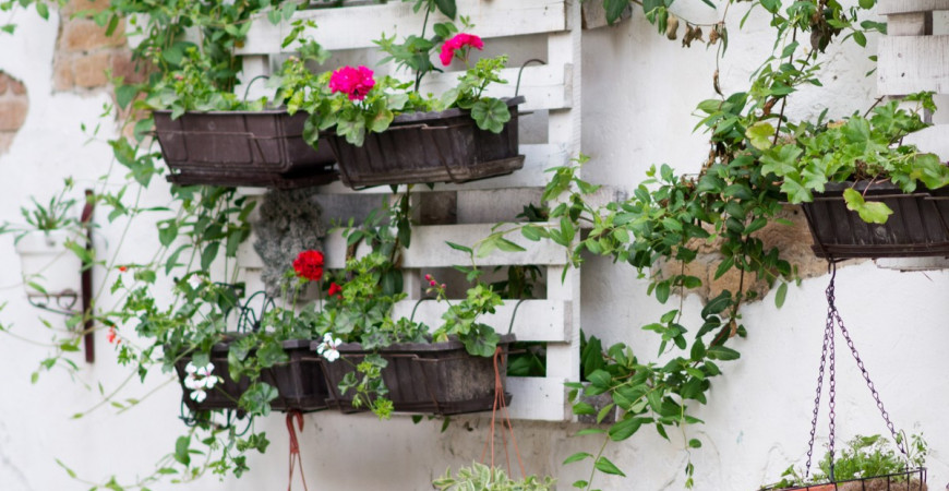 Pomoc pri pestovaní