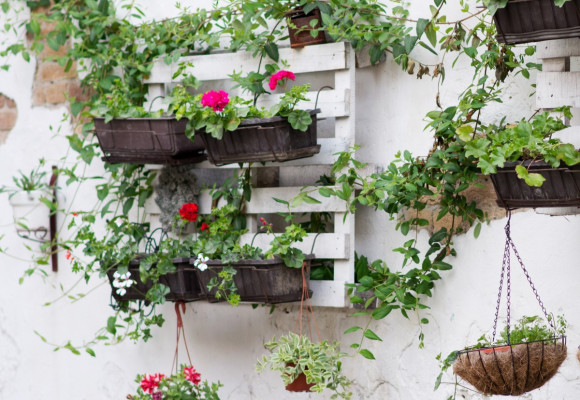 Pomoc pri pestovaní