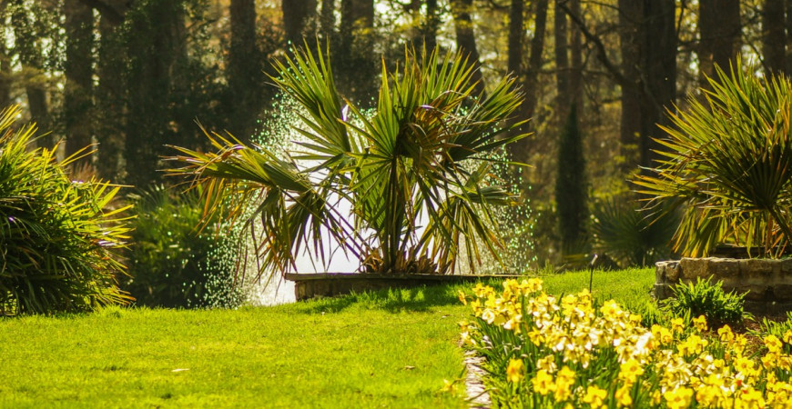 Rastliny pre tienisté zákutia