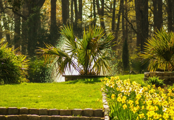 Rastliny pre tienisté zákutia
