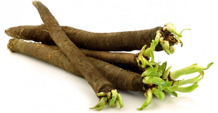 Podobá sa chrenu, chutí ako paštrnák, prirpavuje sa ako špargľa, môže pestovať ako zimná zelenina – čierny koreň