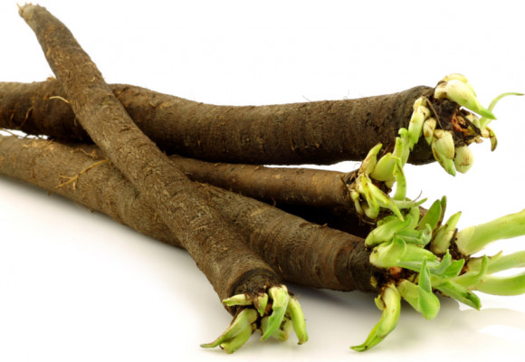 Podobá sa chrenu, chutí ako paštrnák, prirpavuje sa ako špargľa, môže pestovať ako zimná zelenina – čierny koreň