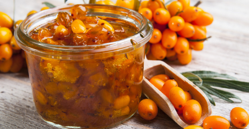 Rakytník svojimi plodmi ozdobí zimnú záhradu, pokiaľ ho nespracujete včas