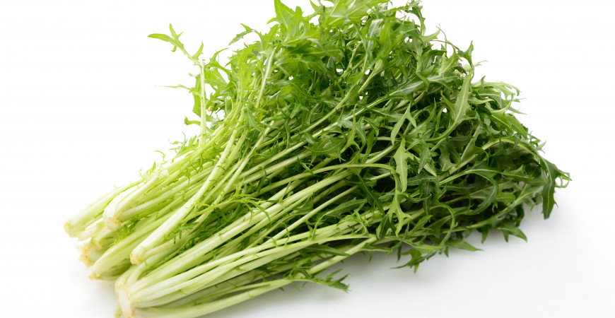 Chuť Ázie na českom stole, pestujte nielen pekinskú kapustu. 