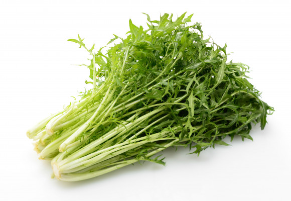 Chuť Ázie na českom stole, pestujte nielen pekinskú kapustu. 