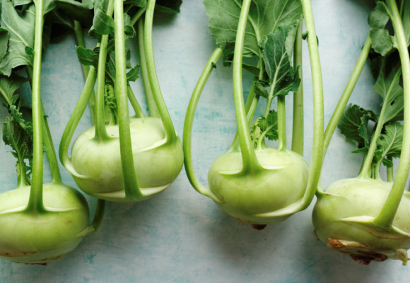 Kaleráb je najžiadanejšou hlúbovou zeleninou a jednou z prvých zelenín v jari 