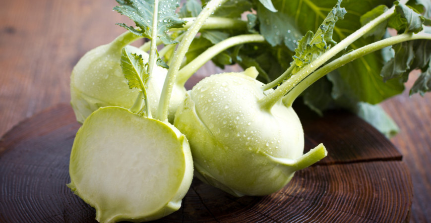 Výsevy zeleniny v apríli