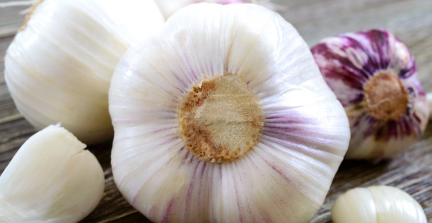 Ak budete konzumovať cesnak, nebudete potrebovať antibiotiká 