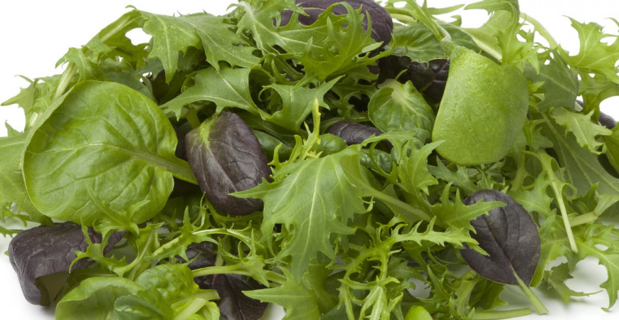 Máte radi šaláty, ale tých klasických už ste prejedení? Predstavíme Vám menej známe rastliny.