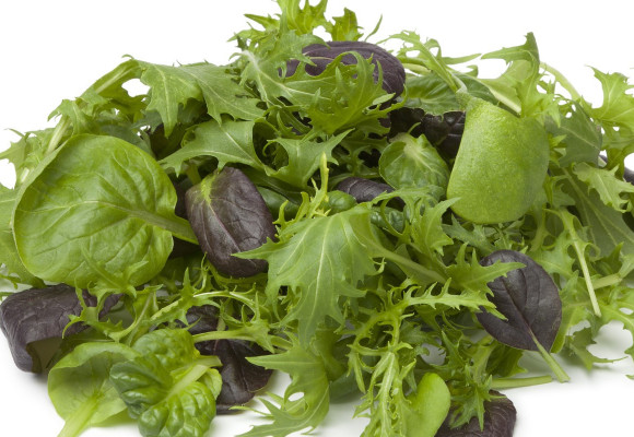 Máte radi šaláty, ale tých klasických už ste prejedení? Predstavíme Vám menej známe rastliny.