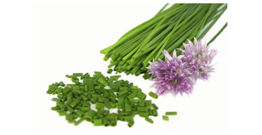 Nielen ako polievková "zeleň" - pažítka sa dá využiť na mnoho spôsobov