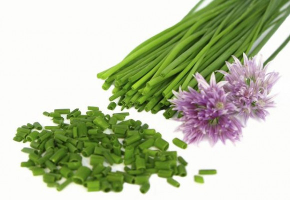 Nielen ako polievková "zeleň" - pažítka sa dá využiť na mnoho spôsobov