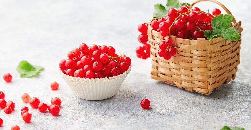 Ríbezle, obľúbené bobuľové ovocie