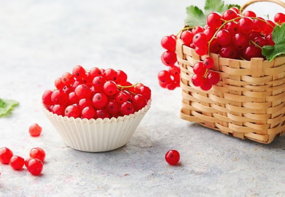 Ríbezle, obľúbené bobuľové ovocie