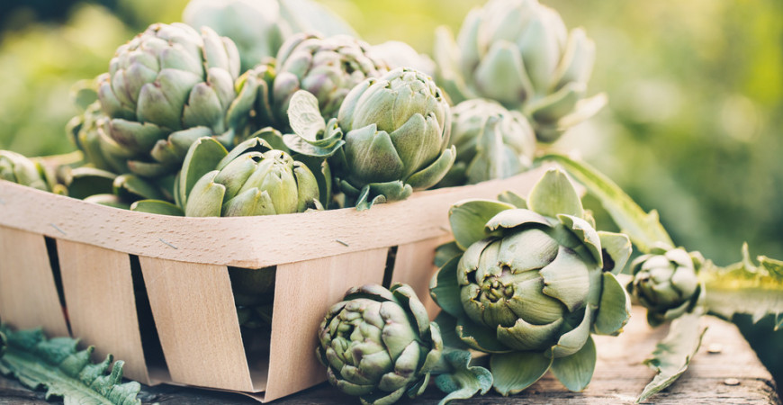 Artičoka u nás príliš známa nie je, je však lahodná a zdravá