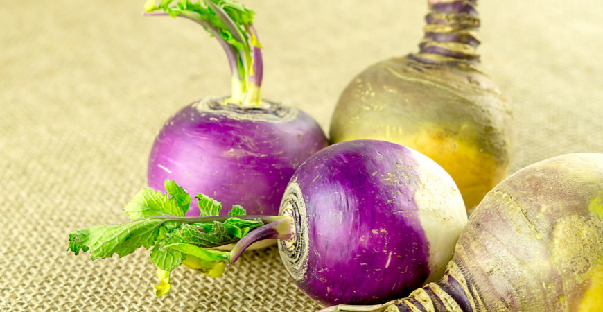 Naši predkovia na ňu nedali dopustiť, kvaka je chutnou a zdravou zeleninou 