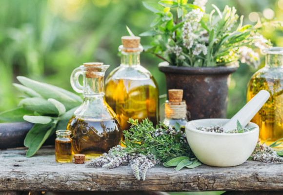 V prírode i na záhrade nájdeme teraz veľa byliniek – ako ich môžeme spracovať a využiť ich liečivé účinky? 