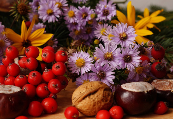 Aj v jeseni môže byť záhrada rozkvitnutá