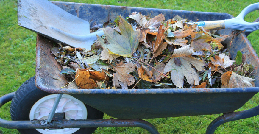 Je tu obdobie padania listov 