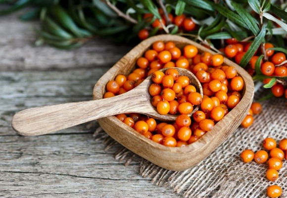 Plody rakytníka sú koncentrátom dôležitých vitamínov