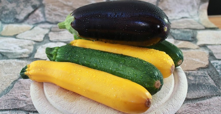 Aké cukety pestovať a čo robiť, keď „nerastú“?