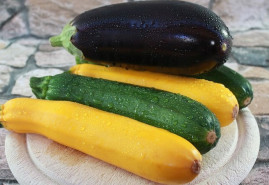 Aké cukety pestovať a čo robiť, keď „nerastú“?